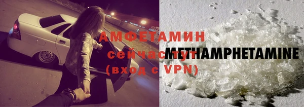 прущие грибы Дмитриев