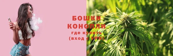 стафф Гусь-Хрустальный