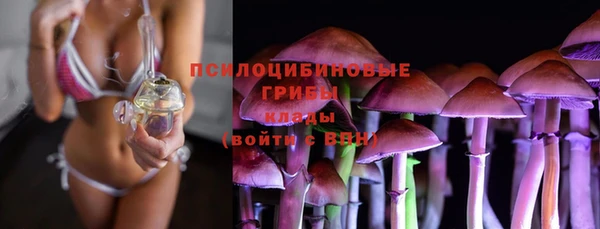 прущие грибы Дмитриев