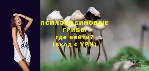 spice Горно-Алтайск