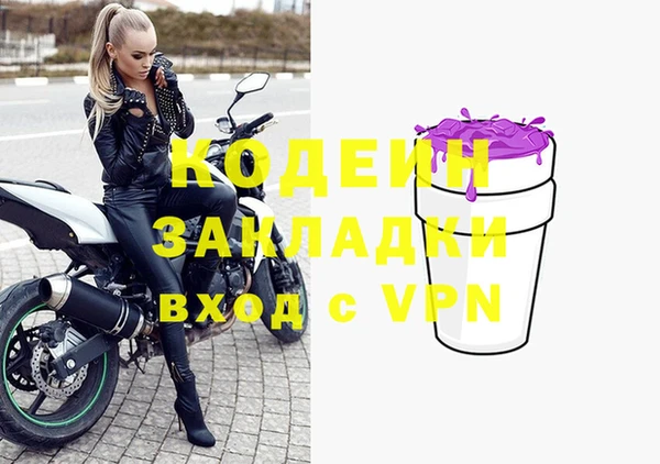 прущие грибы Дмитриев