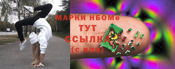 гашик Сосновый Бор