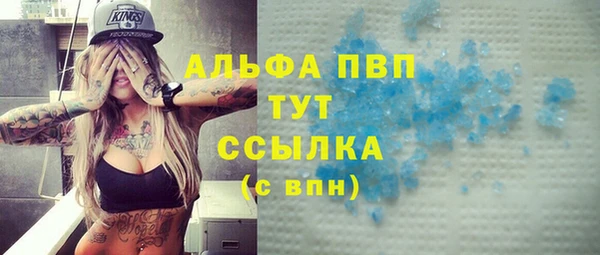 spice Гусев